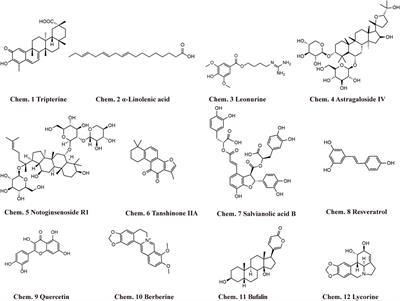 Non-coding RNAs: targets for Chinese herbal medicine in treating myocardial fibrosis